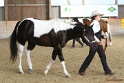22-APHA HOTC_150